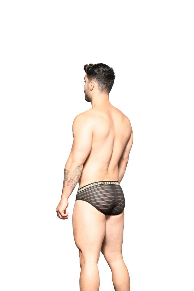 Andrew Christian MASSIVE Sheer Stripe Brief
