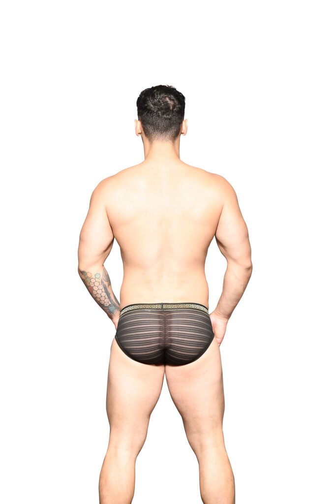 Andrew Christian MASSIVE Sheer Stripe Brief