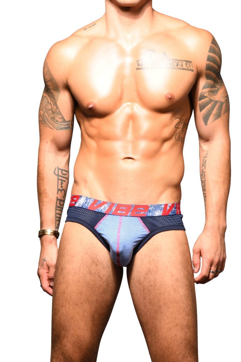 Andrew Christian Vibe Stripe Sports Mesh Brief